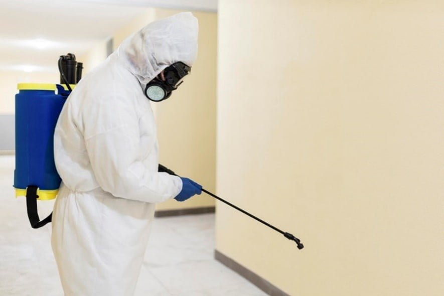Pest Control Services